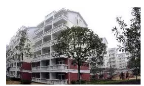 加拿大移民