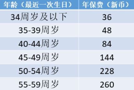 新加坡福利