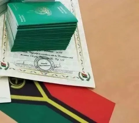 12万美金起，2&ndash;3个月拿护照，凭什么被高净值人群盯上？